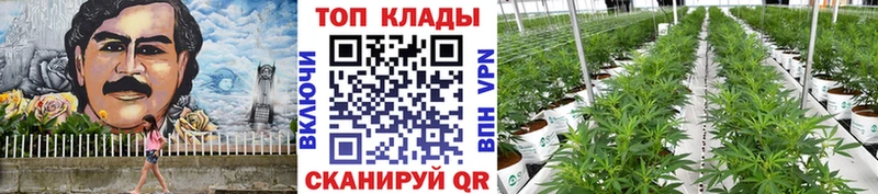 Где продают наркотики Киренск ГАШ Каннабис Галлюциногенные грибы Меф АМФЕТАМИН